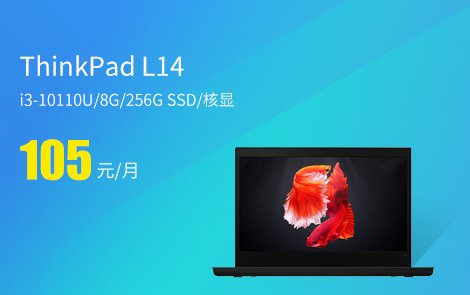 ThinkPad L14